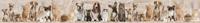 Noordwand Farmlife Jumbo rand katten en honden - 3750028