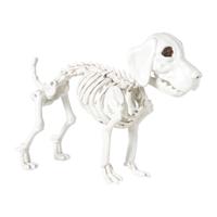 Halloween decoratie hondenskelet - wit - 21x27x12 cm Halloween decoratie hondenskelet - wit - 21x27x12 cm
