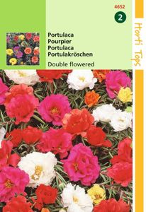 Portulaca Grd.Fl. Dubbelbloemig Gemengd - Hortitops