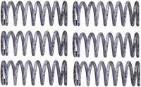 TRW Clutch spring kit mef305-6