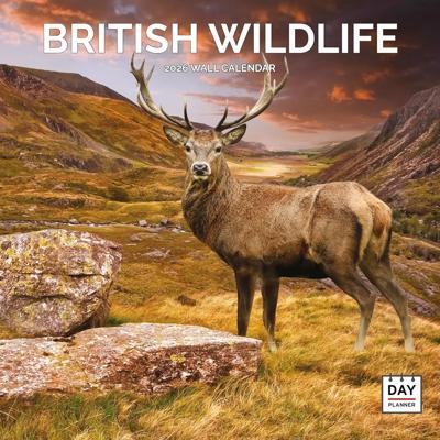 British Wildlife Kalender 2026
