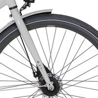Cortina voorvork speed rb ice ball white
