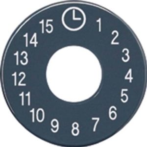 SKS 11015  - Cover plate for time switch black SKS 11015