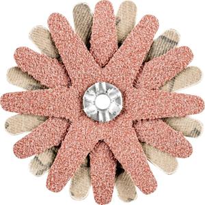 PFERD TOOLS 42732083 Schuursterren Diameter 60 mm 10 stuk(s)