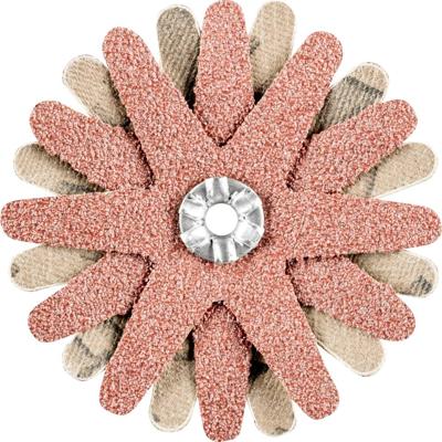 PFERD TOOLS 42732083 Schuursterren Diameter 60 mm 10 stuk(s)