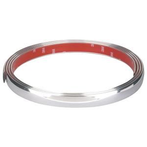 Richter Chroomsierlijst Plat 21mm x 2.45mtr RC 13956