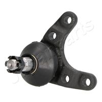 Fuseekogel BJ328