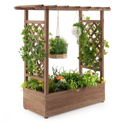 Verhoogd Tuinbed met Gebogen Traliewerk Hangend Dak Plantenbak Afvoergaten Houten Plantenbak voor Binnen en Buiten