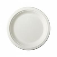 12x Witte suikerriet lunchbordjes 23 cm biologisch afbreekbaar