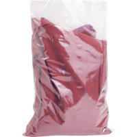 Zak | Vlakke zak | LDPE | 32x50cm | transparant | 1000 stuks