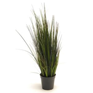 Emerald Kunstplant Siergras - groen - 60 cm   -