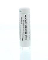 Homeoden Heel Rhus toxicodendron 6K 6 Gram