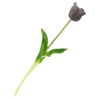 Kunst Tulp open real touch grijs