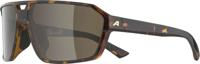Alpina swift - sports glasses