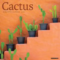 Cactus Kalender 2026