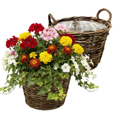 VD Leeden Plantenmand Twijg - 2x - rond - bruin - 30 x 23 cm - rotan - gevlochten riet - bloemenmand