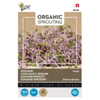 Bio Knip & Eet, Sprouting Koolrabi blauw