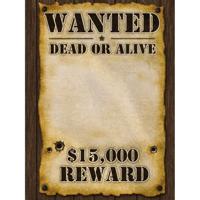 Wanted poster - 59 x 42 cm - voor eigen foto - Western/cowboy thema versiering