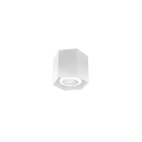 Wever & Ducre - Hexo Mini Ceiling Surface 1.0 PAR16 spot