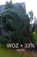 WOZ + 33% - Jap Vab - ebook
