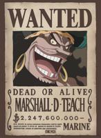 Poster One Piece - Wanted Blackbeard 38x52cm
