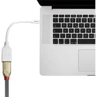 LINDY 41021 DisplayPort / Mini-displayport Adapterkabel [1x DisplayPort bus - 1x Mini-DisplayPort stekker] Wit 15.00 cm - thumbnail