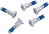 TRW Screw set 5pcs. m8x1,25