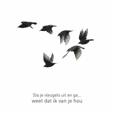 Wenskaart Relaties - Vogels in Lucht (Set van 6)