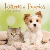 Kittens & Puppies Mini Kalender 2026
