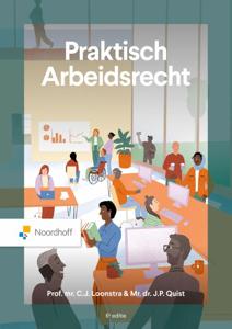 Praktisch arbeidsrecht (Paperback)