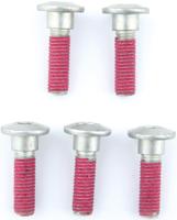 TRW bouten set