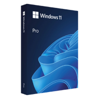 Windows 11 Pro