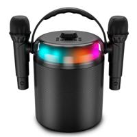 Speakers Ledwood LD-PLAYKARAOKE