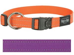 Rogz for dogs fanbelt halsband paars (20 MMX34-56 CM)