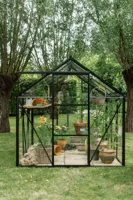 Royal Well | Kate V Full Options Tuinkas | Veiligheidsglas 3 mm | Zwart