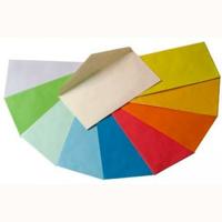 Papier Michel A4 100 Lakens