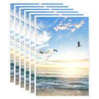VidaXL Fotolijsten 5 st voor tafel 21x29,7 cm mdf wit
