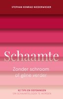 Schaamte - Stephan Konrad Niederwieser - ebook