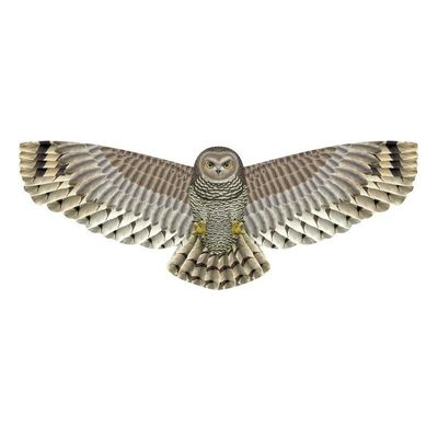 Grote kinder vlieger van een UIL 112 x 50 cm