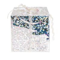 5x Rollen inpakfolie/cadeaufolie holofgrafisch/metallic zilver grafisch 0,7 x 2 meter