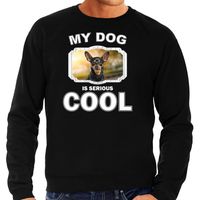 Honden liefhebber trui / sweater Dwergpinscher my dog is serious cool zwart voor heren - thumbnail