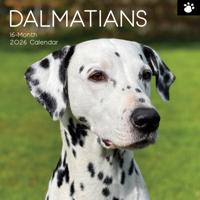 Dalmatiër Kalender 2026