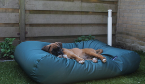 Dog's Companion® Hondenbed groen vuilafstotende coating large