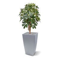 Schefflera kunstplant op voet 65cm