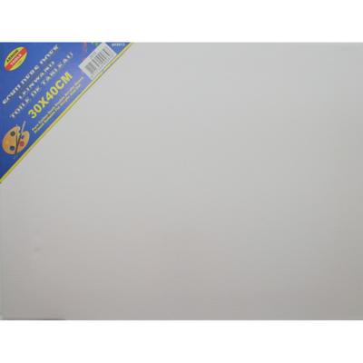 Benson Schildersdoek - Set van 2x stuks - 30 x 40 cm - blanco canvas - zware kwaliteit