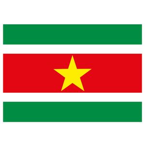 Vlag Suriname stickers 7.5 x 10 cm