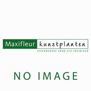 Saxifraga kunst hangplant 45cm - groen/rood