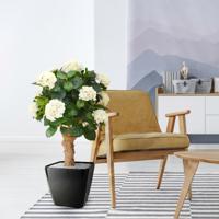 Hortensia deluxe kunstplant op stam 90cm - crème