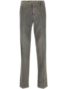 PT Torino pantalon chino en velours côtelé - Gris