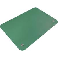 Quadrios ESD-bureaumat Groen (l x b) 55 mm x 55 mm